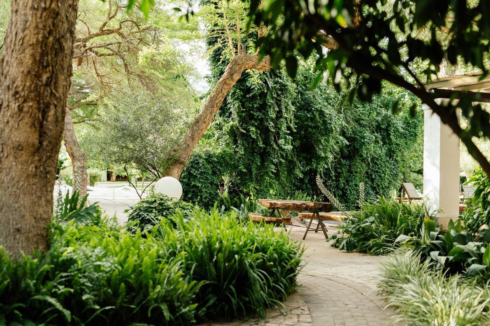 Upington African Vineyard Boutique Hotel & Spa Keimoes Εξωτερικό φωτογραφία