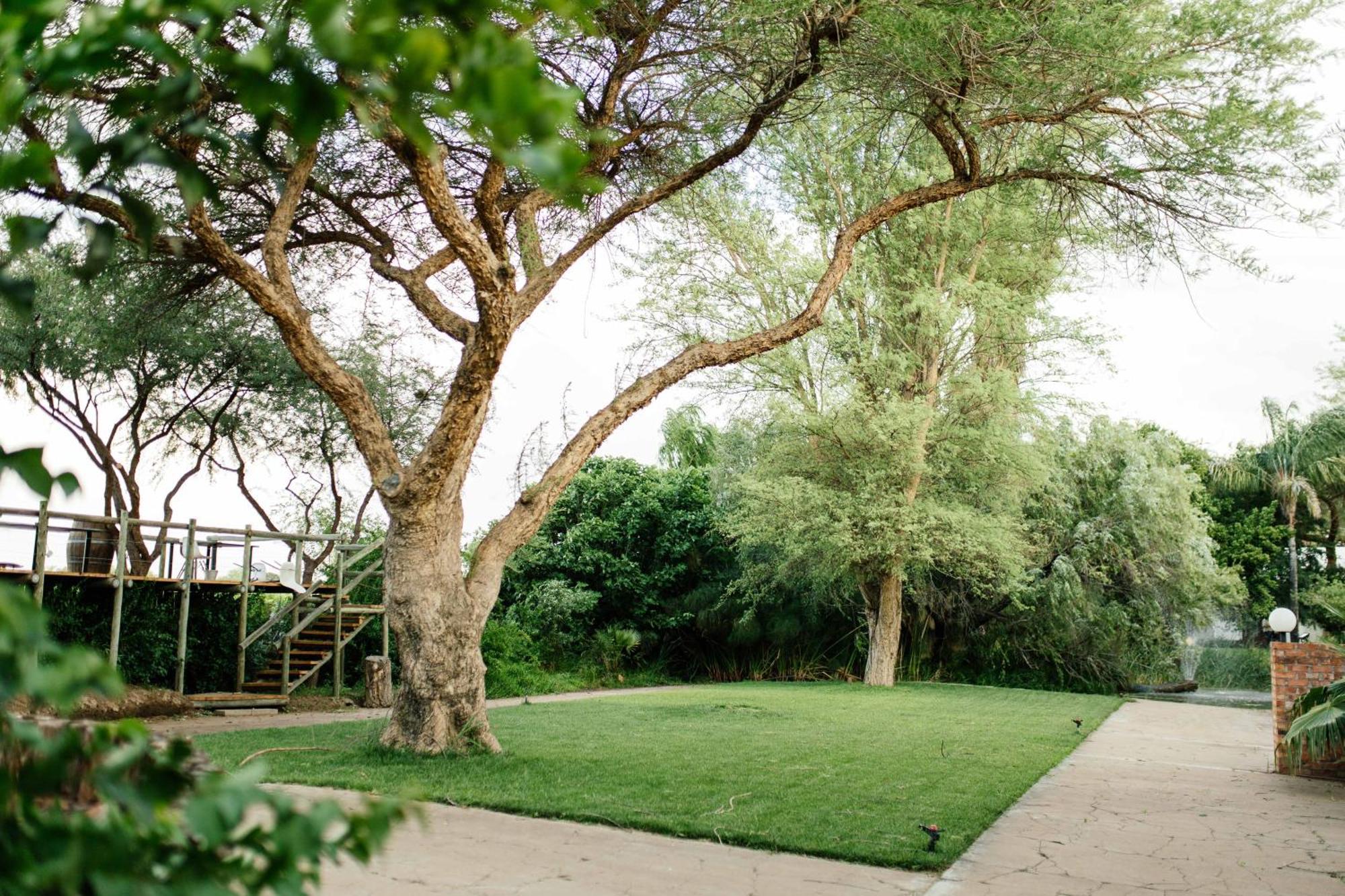 Upington African Vineyard Boutique Hotel & Spa Keimoes Εξωτερικό φωτογραφία