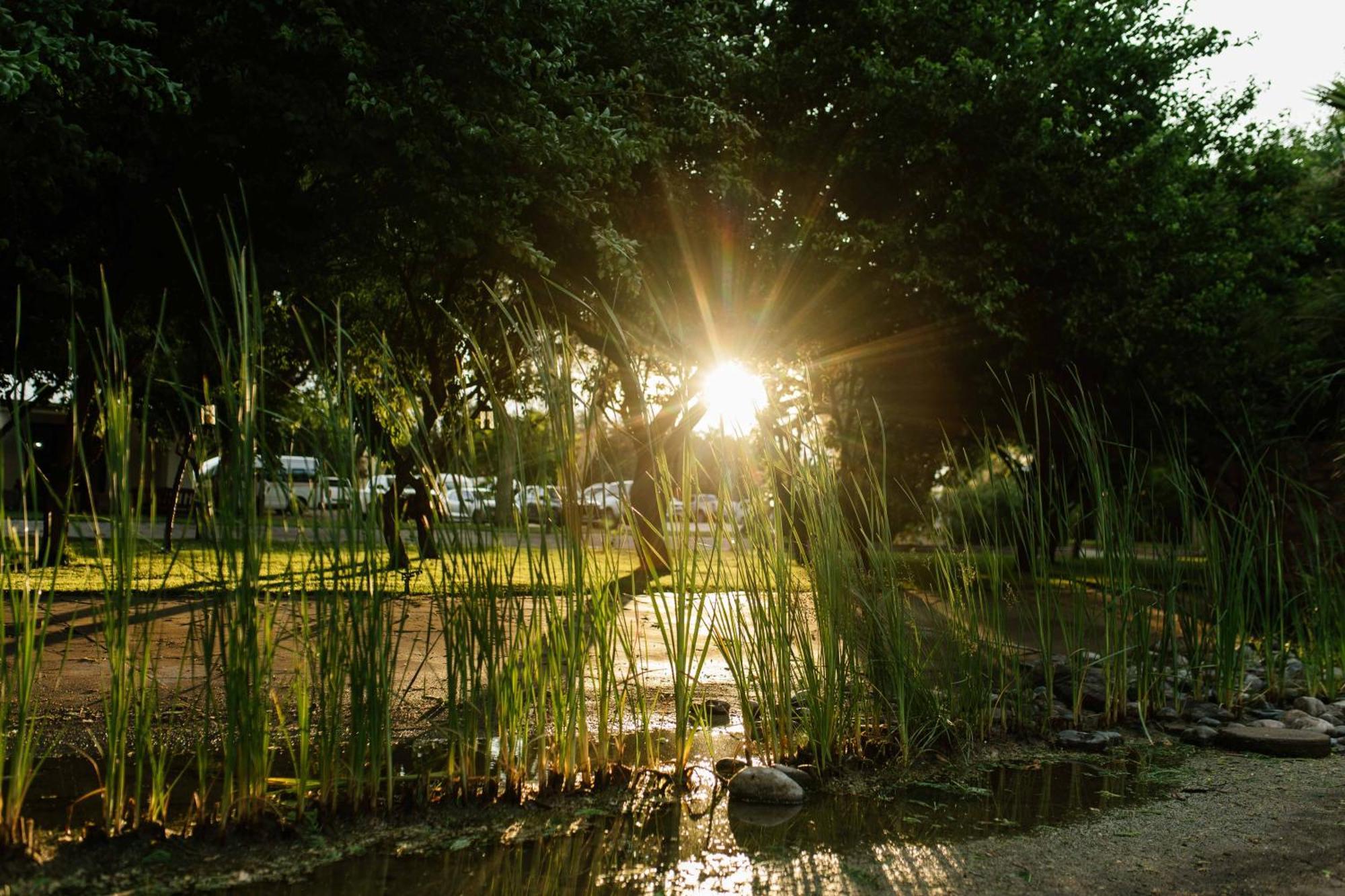 Upington African Vineyard Boutique Hotel & Spa Keimoes Εξωτερικό φωτογραφία