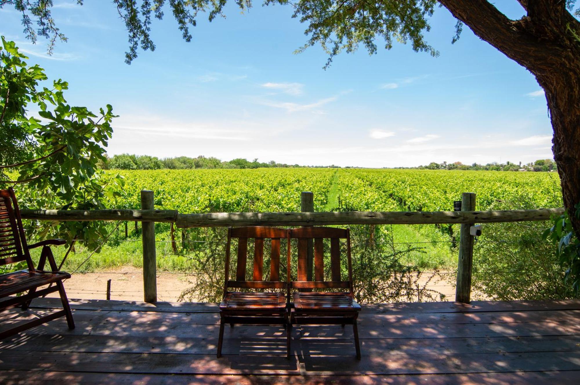 Upington African Vineyard Boutique Hotel & Spa Keimoes Εξωτερικό φωτογραφία